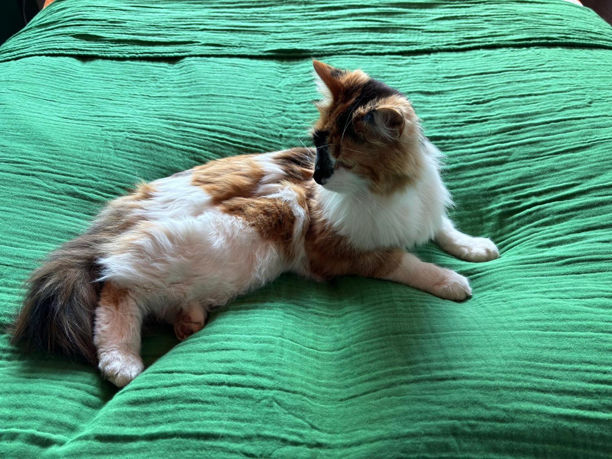 格仑达积图The Cat'S Cradle公寓 外观 照片